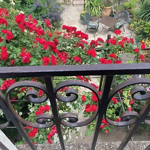 Bed & Breakfast La Maison Des Augustins 4 Stars Et Fitness, Avignone